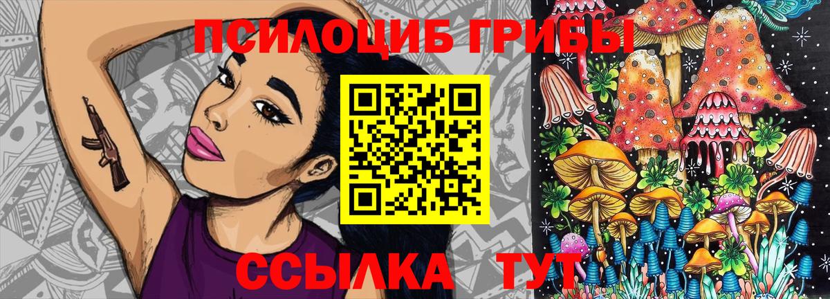 где найти   Галлюциногенные грибы Cubensis  Вход с VPN  Карачаевск 