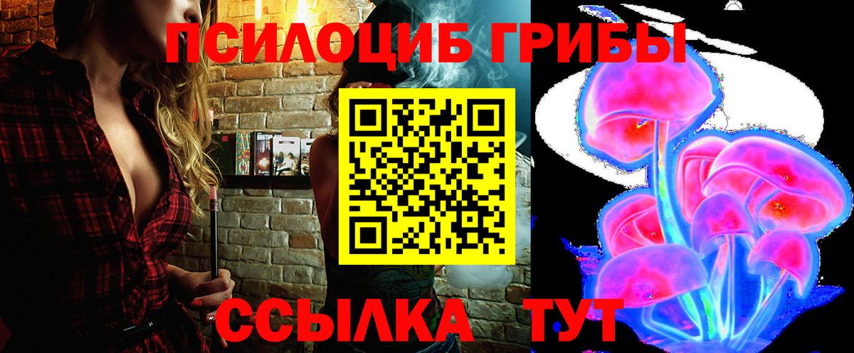 Галлюциногенные грибы Psilocybine cubensis Карачаевск